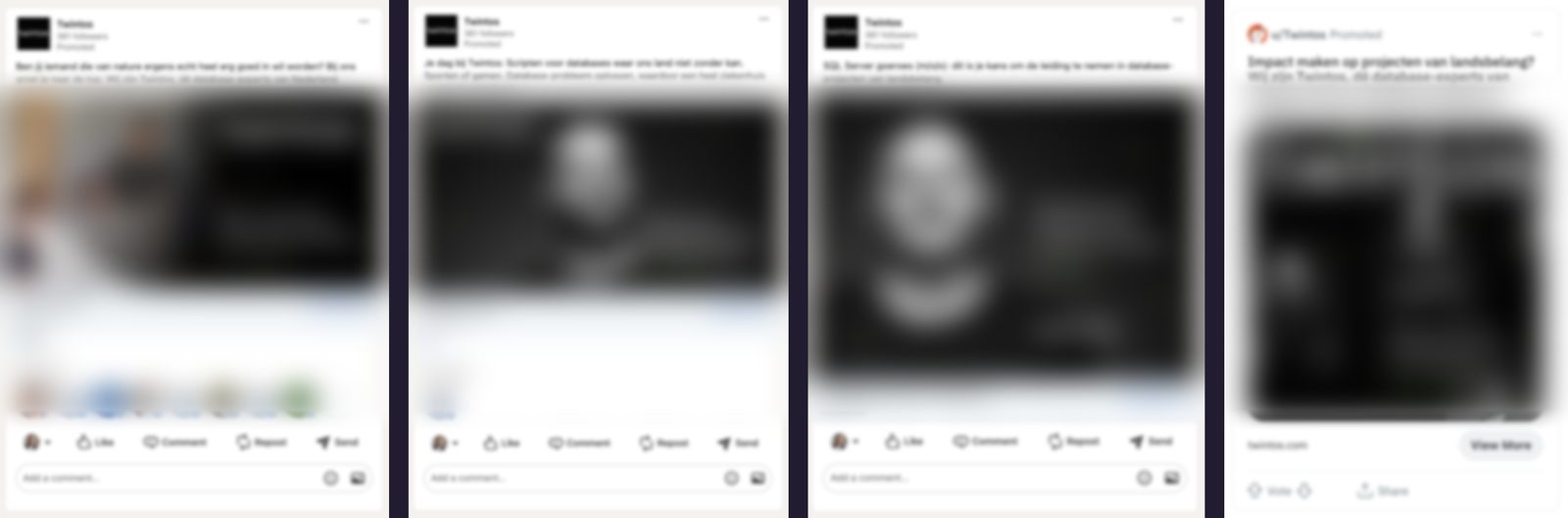 Voorbeelden van de Twintos-campagne op LinkedIn en Reddit